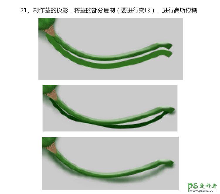 PS失量图绘制教程：学习手绘漂亮精致的青色莲蓬失量图素材。