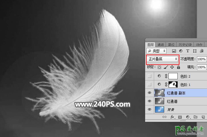 利用photoshop通道工具抠出洁白的羽毛，学习PS怎么抠绒毛图片。