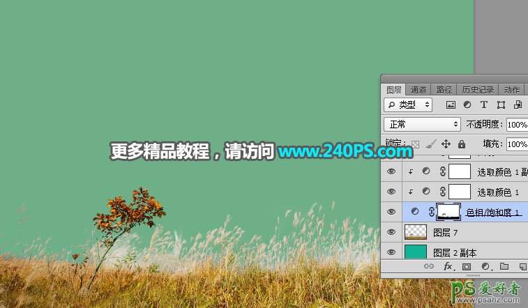 利用Photoshop通道工具给野外秋季芦苇草场风光照片进行抠图。