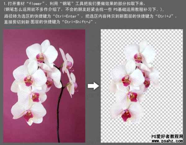 Photoshop创意合成漂亮的牛奶花朵，牛奶蝴蝶兰