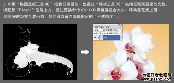 Photoshop创意合成漂亮的牛奶花朵，牛奶蝴蝶兰