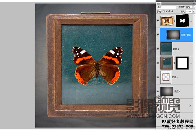 photoshop创意合成画框中的蝴蝶标本
