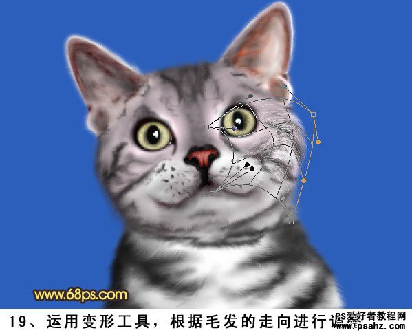 photoshop手绘可爱的小灰猫