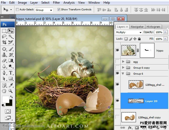 photoshop创意合成从鸟窝中孵出的小河马