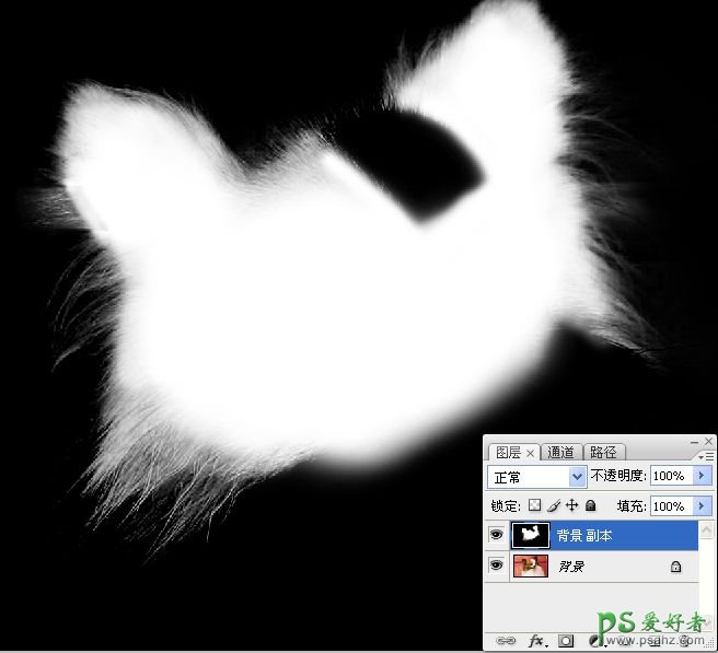 PS抠图教程：利用通道和画笔快速抠出可爱的长毛宠物狗