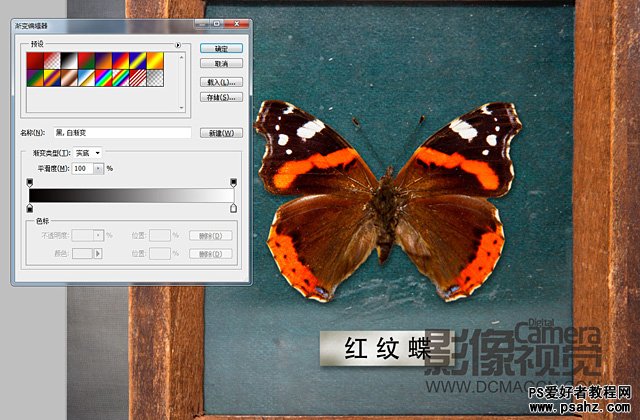 photoshop创意合成画框中的蝴蝶标本