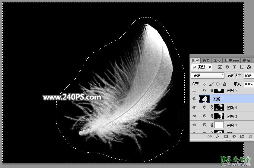利用photoshop通道工具抠出洁白的羽毛，学习PS怎么抠绒毛图片。