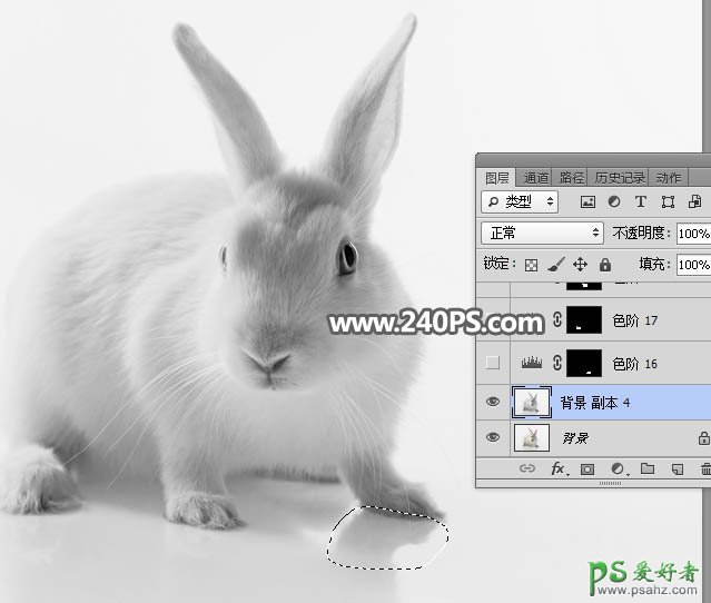Photoshop快速抠出背景色彩简单的动物图片，抠出可爱的小白兔。