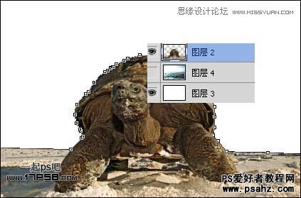 PS图片合成教程：合成一幅乌龟背上的海岛