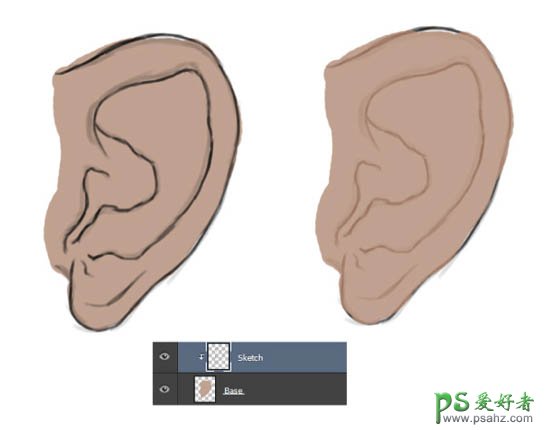 跟着photoshop手绘大师学习绘制逼真的人耳失量图,学习人耳的画法
