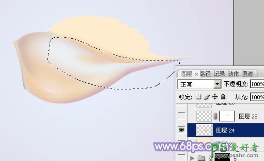 photoshop手工绘制一个漂亮的小海螺-小海螺素材图片