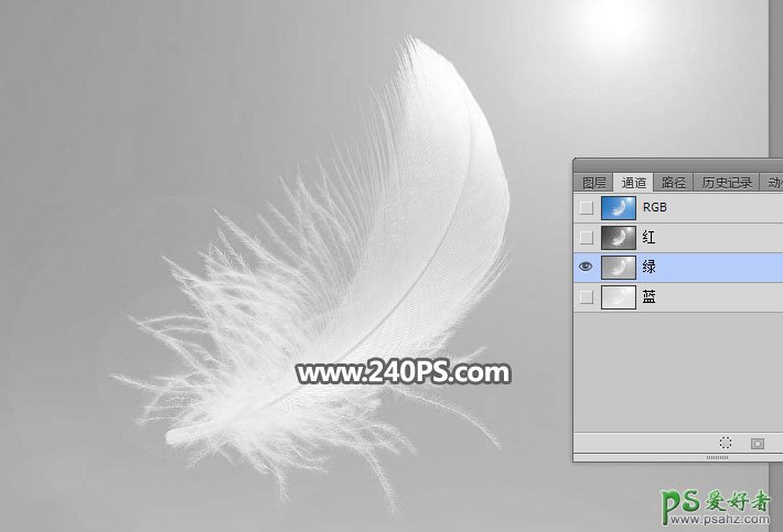 利用photoshop通道工具抠出洁白的羽毛，学习PS怎么抠绒毛图片。