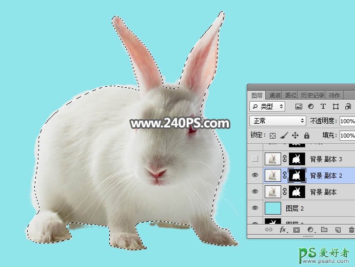 Photoshop快速抠出背景色彩简单的动物图片，抠出可爱的小白兔。