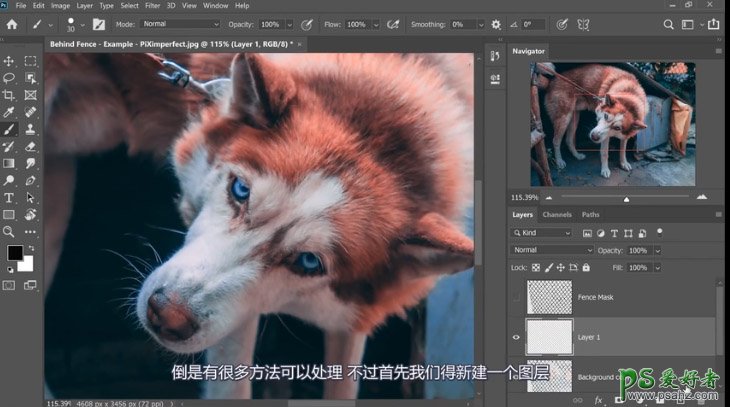 PS抠图大神教你如何快速完美的去除宠物狗图像中的铁丝网纹。