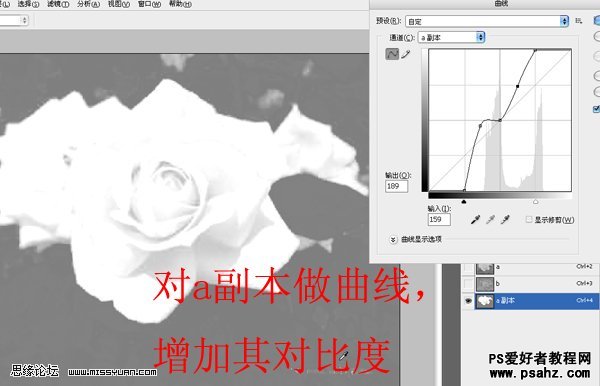 PS抠图基础知识学习：详解LAB通道抠图教程