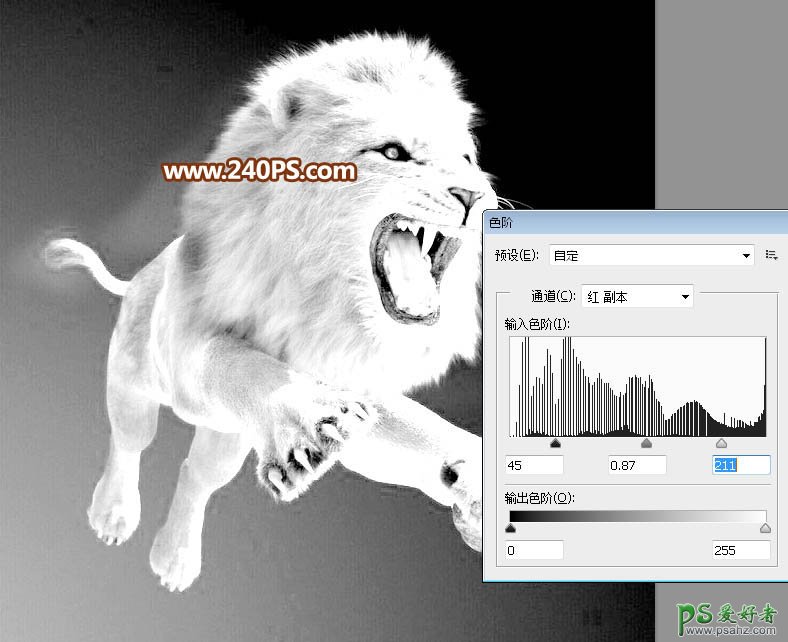 Photoshop通道抠图教程：完美抠出长毛的狮子素材图，跃起的雄狮