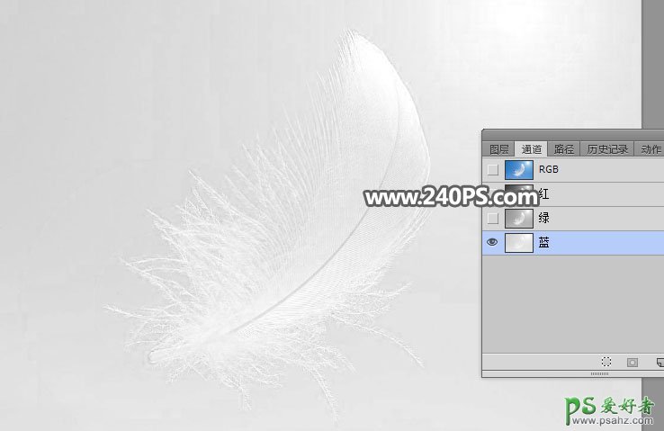 利用photoshop通道工具抠出洁白的羽毛，学习PS怎么抠绒毛图片。