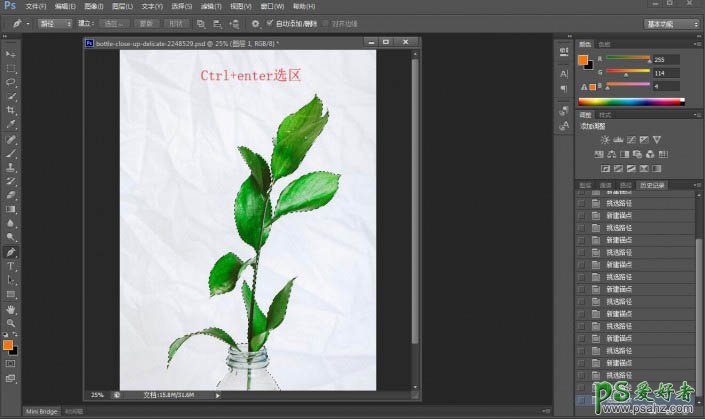 学习用photoshop钢笔工具快速抠出半透明背景的绿色植物图片。