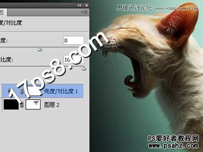 photoshop创意合成一只喷火的猫