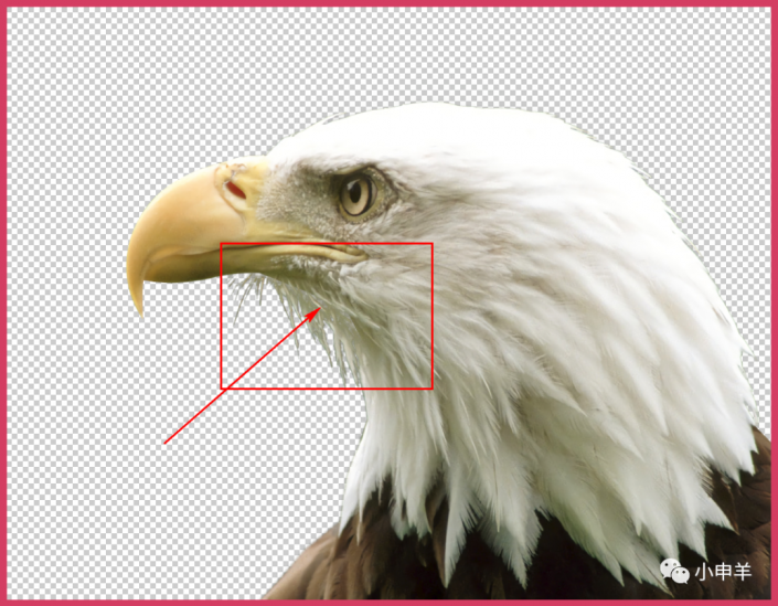 PS抠鸟类教程：利用画笔及蒙版工具快速抠出翱翔蓝天的雄鹰。