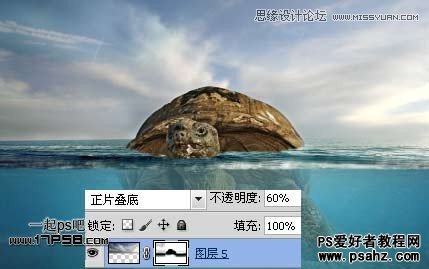 PS图片合成教程：合成一幅乌龟背上的海岛