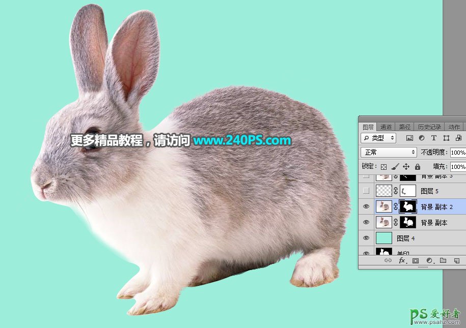 PS通道抠图教程：学习怎么快速抠出白褐色可爱兔子素材图片。