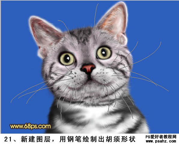 photoshop手绘可爱的小灰猫