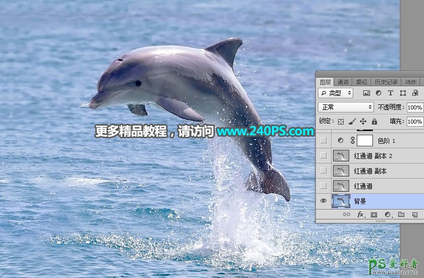 利用Photoshop通道及调色工具快速把跃出水面的海豚素材图片