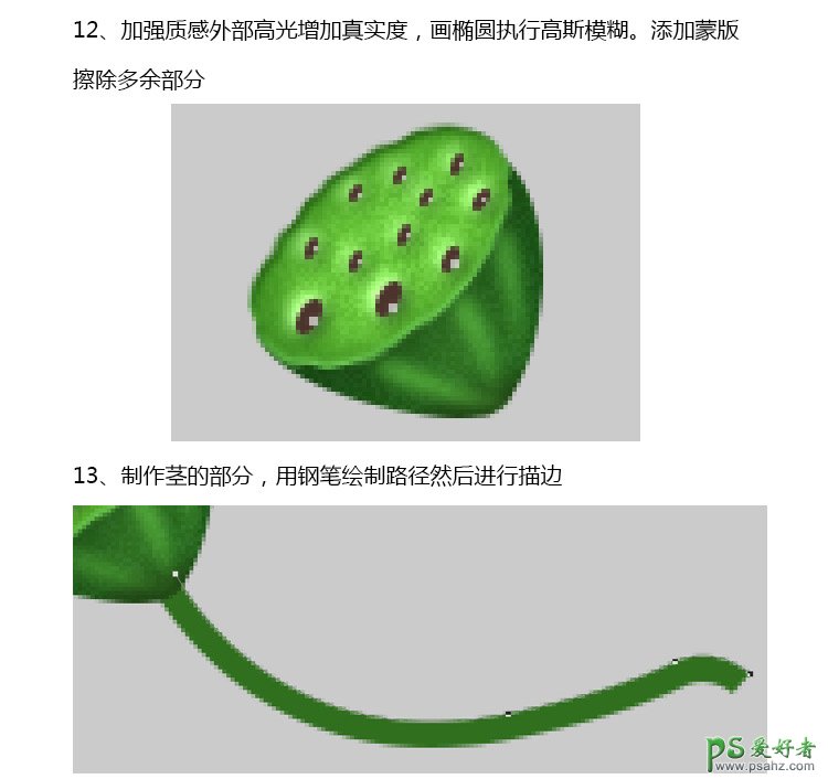 PS失量图绘制教程：学习手绘漂亮精致的青色莲蓬失量图素材。