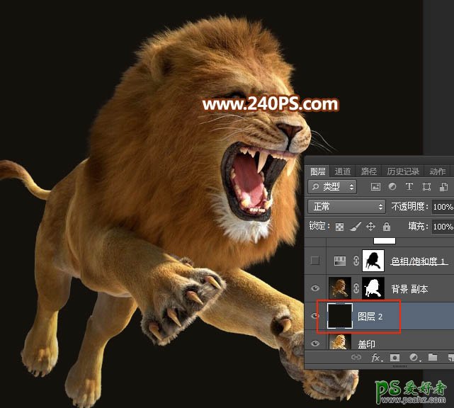 Photoshop通道抠图教程：完美抠出长毛的狮子素材图，跃起的雄狮