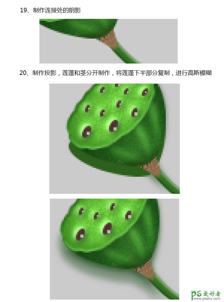 PS失量图绘制教程：学习手绘漂亮精致的青色莲蓬失量图素材。