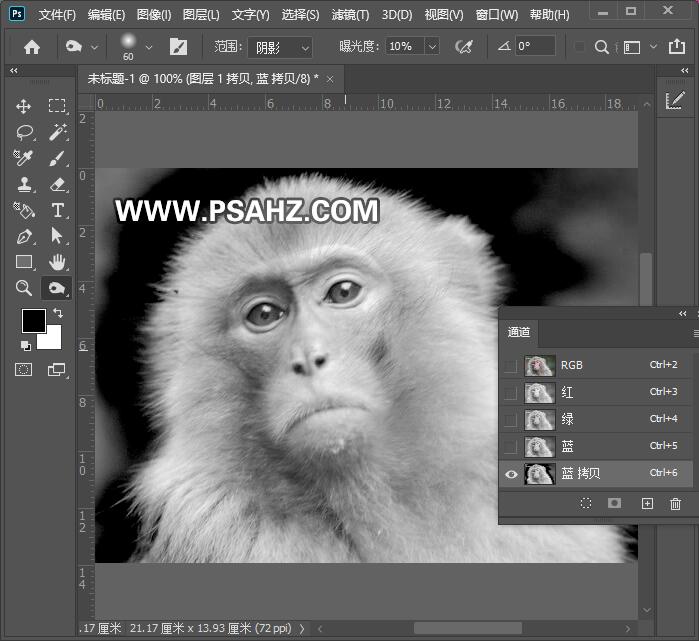 PS动物抠图教程：使用通道工具快速抠出一只猴子。