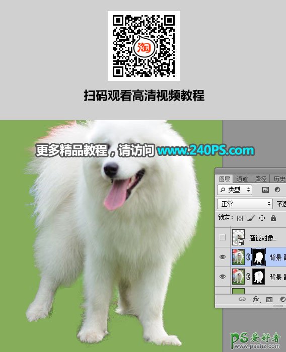PS换背景教程：用多通道抠图技术给背景复杂的萨摩狗狗照片换背景