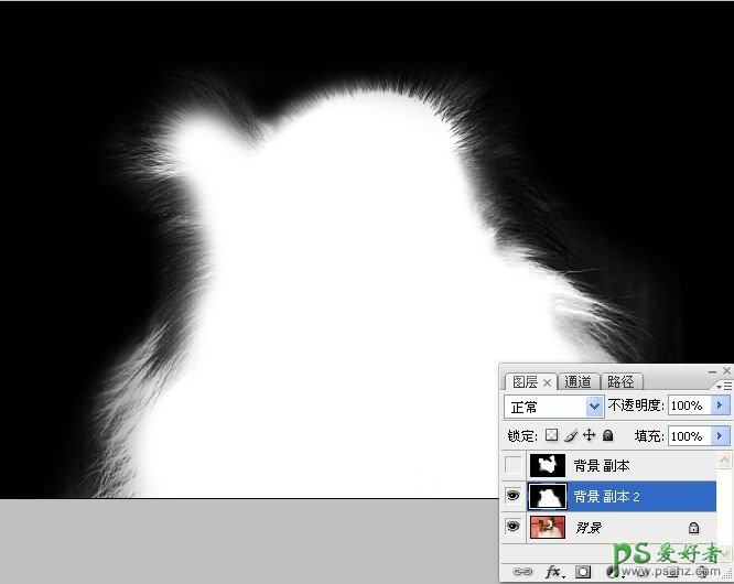 PS抠图教程：利用通道和画笔快速抠出可爱的长毛宠物狗