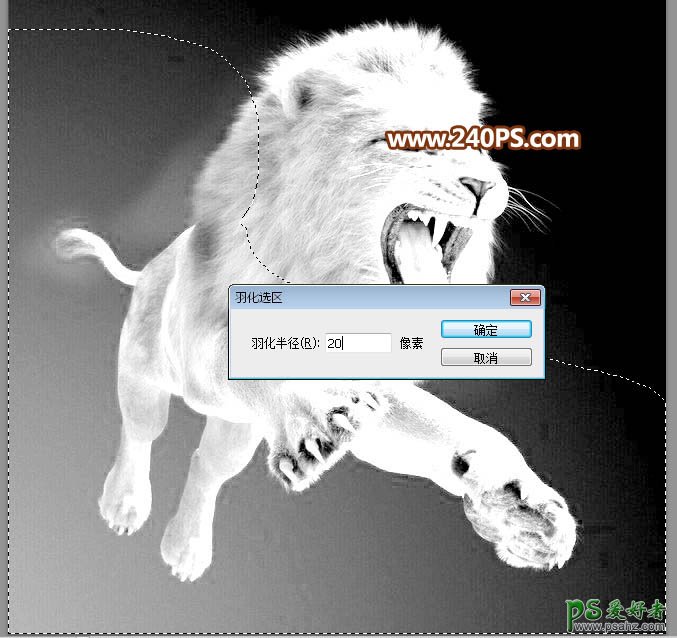 Photoshop通道抠图教程：完美抠出长毛的狮子素材图，跃起的雄狮