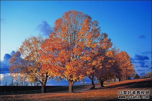 PS抠图基础教程：利用通道给秋景图片换背景