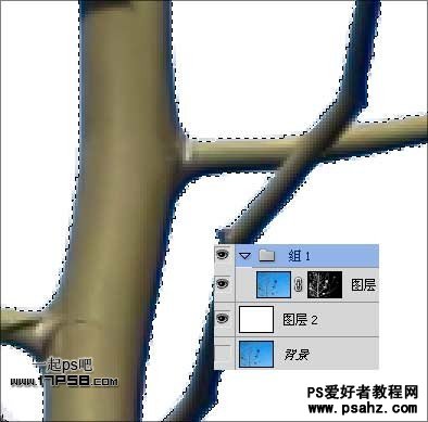 PS抠图教程：利用计算命令快速抠出复杂的树枝和树叶