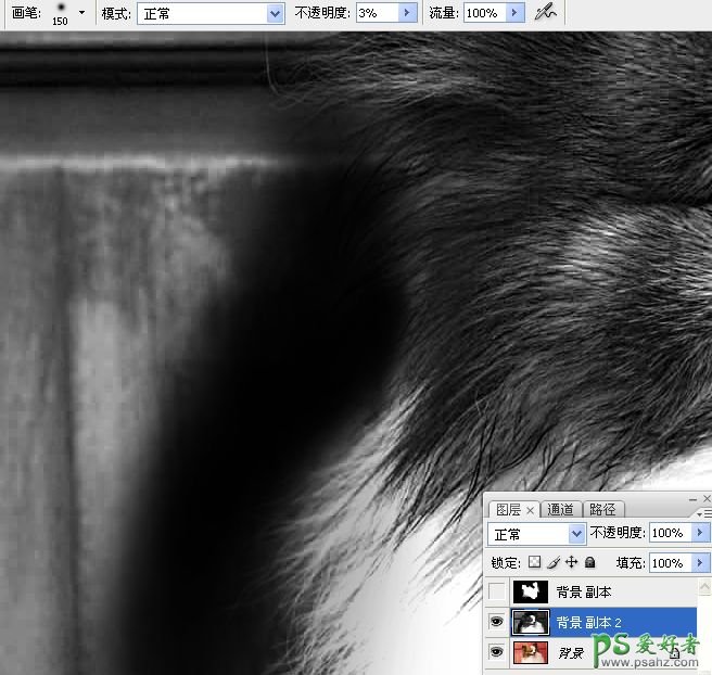 PS抠图教程：利用通道和画笔快速抠出可爱的长毛宠物狗