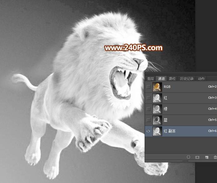 利用通道抠取狮子图片换背景的PS技巧