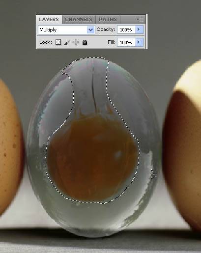 Photoshop合成一个半透明的鸡蛋图片
