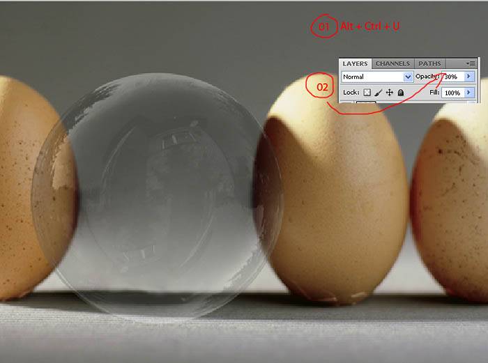 Photoshop合成一个半透明的鸡蛋图片