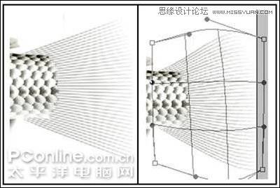 鼠绘一条鲜活鲫鱼的PS教程