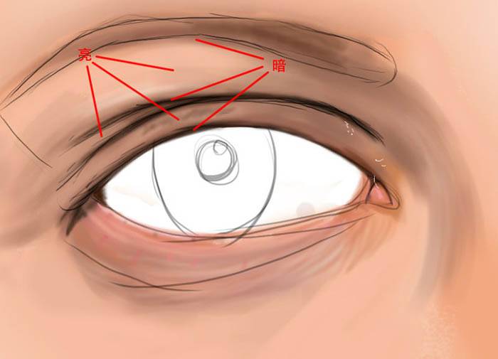 鼠绘逼真细腻真人眼睛图片的PS教程