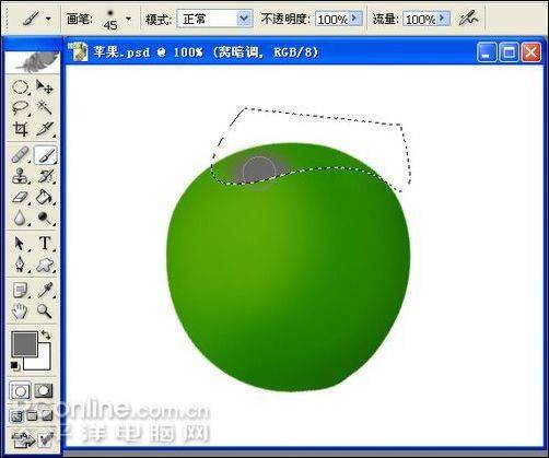 学习鼠绘托盘当中的两只苹果