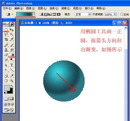 学习用PS鼠绘爬在树干上的蚱蝉