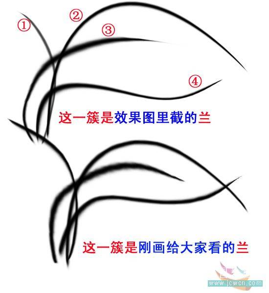 PS鼠绘一幅水墨兰花古画图案