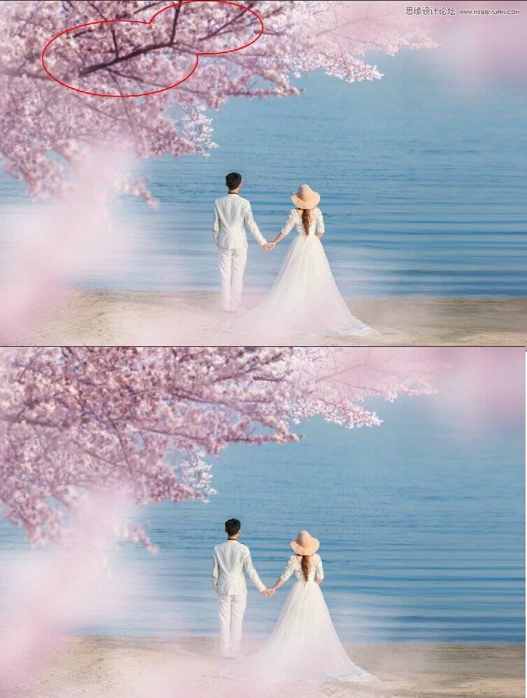 Photoshop合成唯美樱花树下的海景婚纱照片