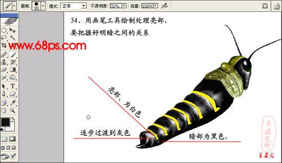 学习鼠绘一只逼真蝗虫的PS教程