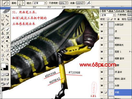 学习鼠绘一只逼真蝗虫的PS教程