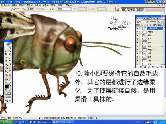 学习鼠绘蝗虫的Photoshop教程